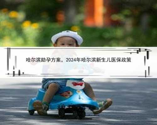 哈尔滨助孕方案，2024年哈尔滨新生儿医保政策