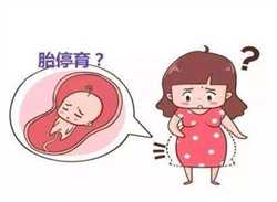 哈尔滨私人助孕机构，哈尔滨试管婴儿医院排名如何？